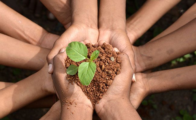 Environmental-Sustainability